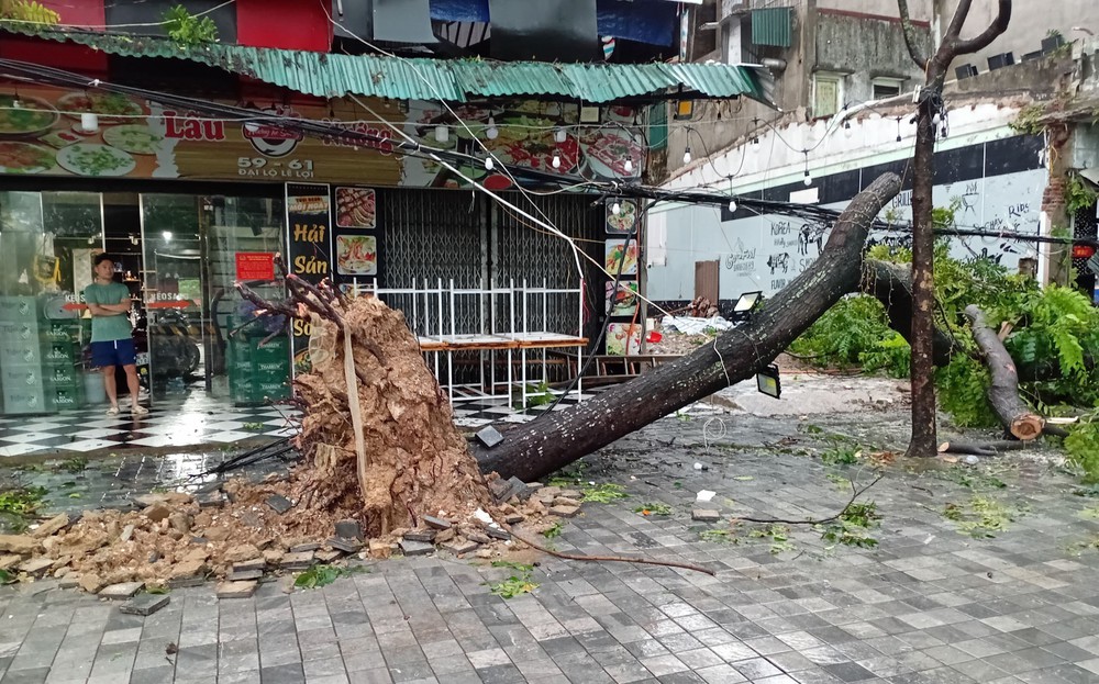 Bão số 5: Thanh Hóa triển khai phương án ứng phó sau khi bão đổ bộ - Ảnh 2.