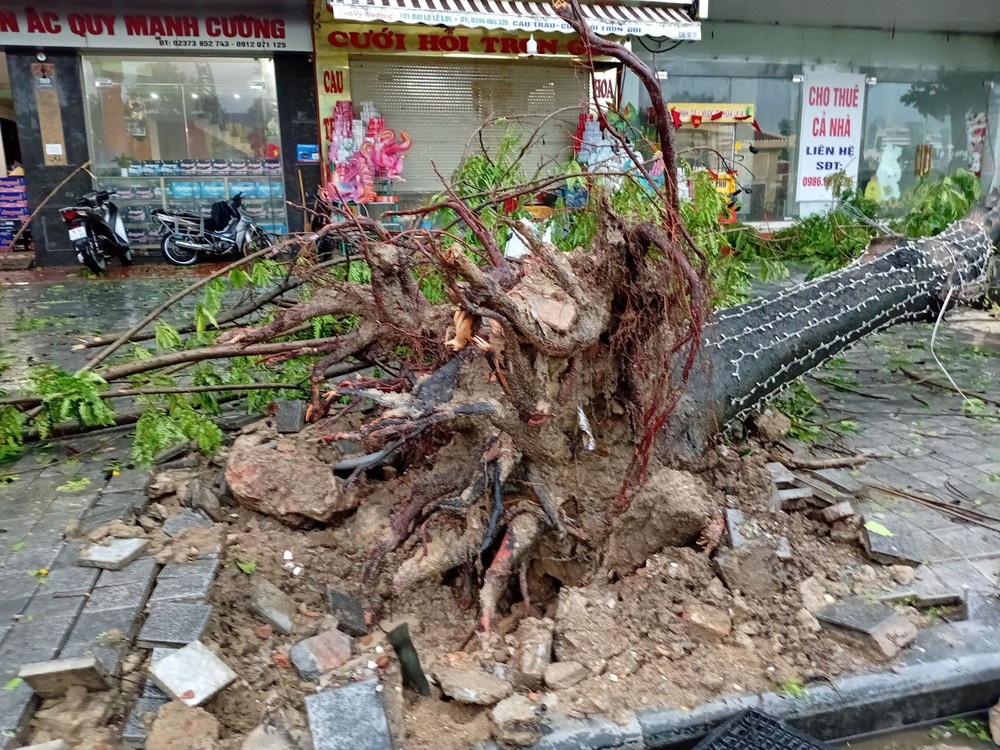 Bão số 5: Thanh Hóa triển khai phương án ứng phó sau khi bão đổ bộ - Ảnh 4.