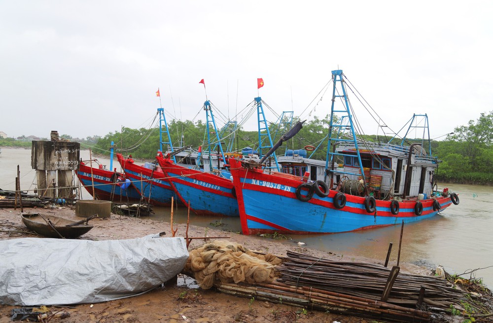 Thủ tướng yêu cầu triển khai quyết liệt công tác ứng phó bão số 5 - Ảnh 5.