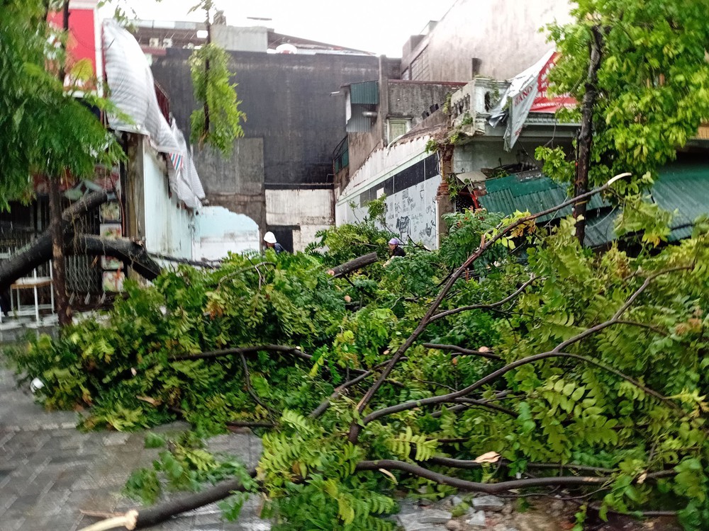 Bão số 5: Thanh Hóa triển khai phương án ứng phó sau khi bão đổ bộ - Ảnh 6.
