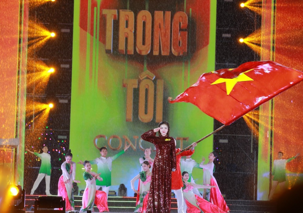  Concert “Việt Nam trong tôi” - Ảnh 1.