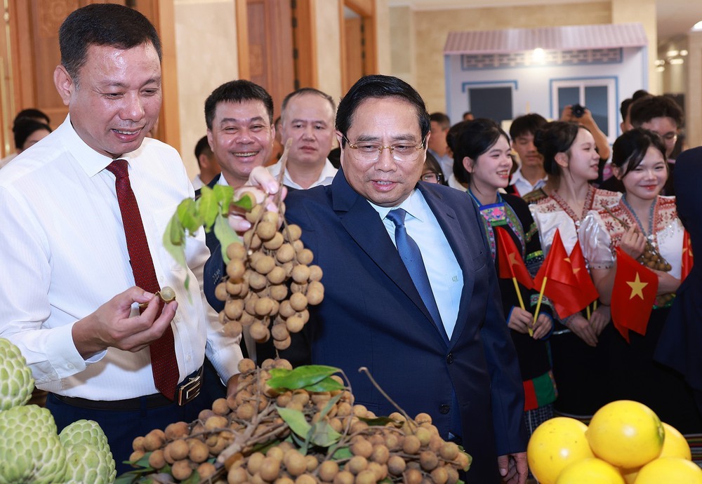 Thủ tướng chủ trì Hội nghị tổng kết Chương trình và Phong trào thi đua “Cả nước chung tay xóa nhà tạm, nhà dột nát” - Ảnh 13.