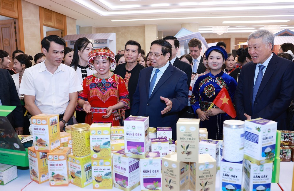 Thủ tướng chủ trì Hội nghị tổng kết Chương trình và Phong trào thi đua “Cả nước chung tay xóa nhà tạm, nhà dột nát” - Ảnh 14.
