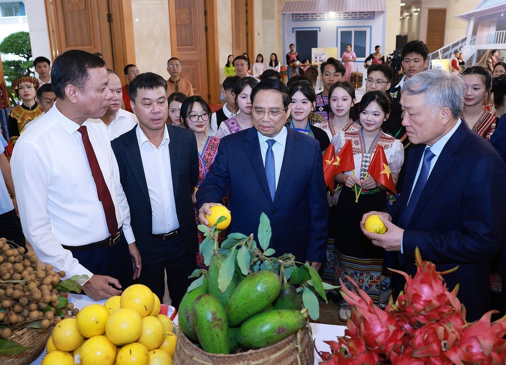 Thủ tướng chủ trì Hội nghị tổng kết Chương trình và Phong trào thi đua “Cả nước chung tay xóa nhà tạm, nhà dột nát” - Ảnh 12.