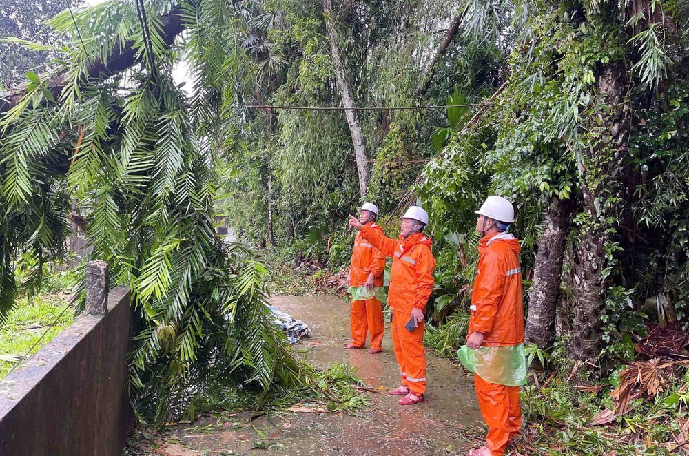 Ảnh hưởng bão số 5: Tập trung khắc phục hậu quả, nhanh chóng ổn định đời sống người dân - Ảnh 3.