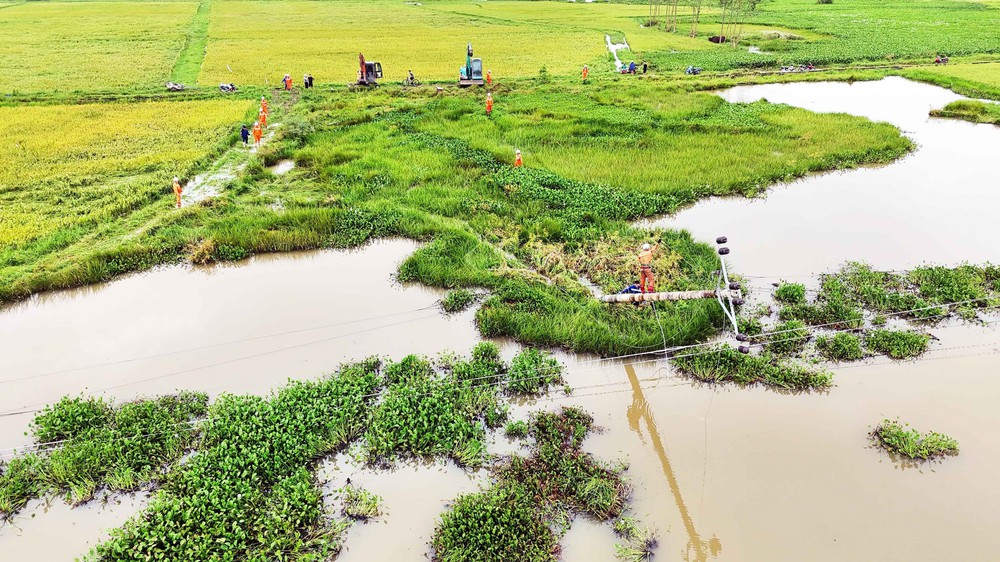 Ảnh hưởng bão số 5: 55 người thương vong và mất tích; mưa lớn gây ngập, thiệt hại 92.226 ha lúa - Ảnh 5.