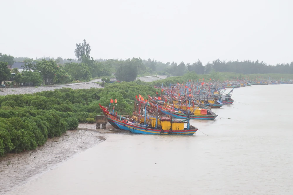 Từ Quảng Ninh đến Khánh Hòa chủ động ứng phó với áp thấp nhiệt đới - Ảnh 3.