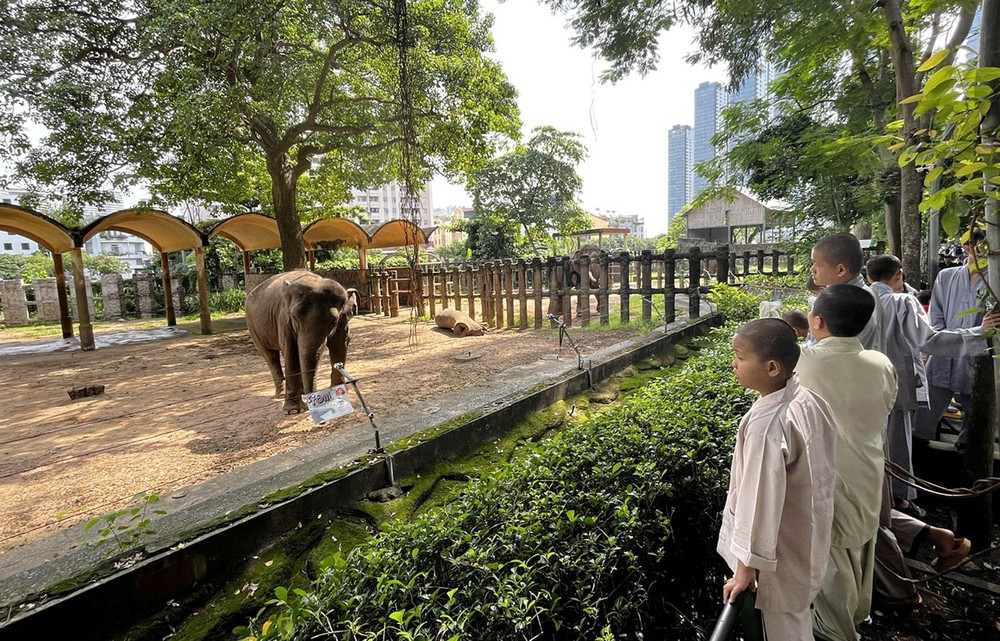 80 năm Quốc khánh: Đa dạng các hoạt động vui chơi, giải trí tại Thành phố Hồ Chí MInh - Ảnh 3.