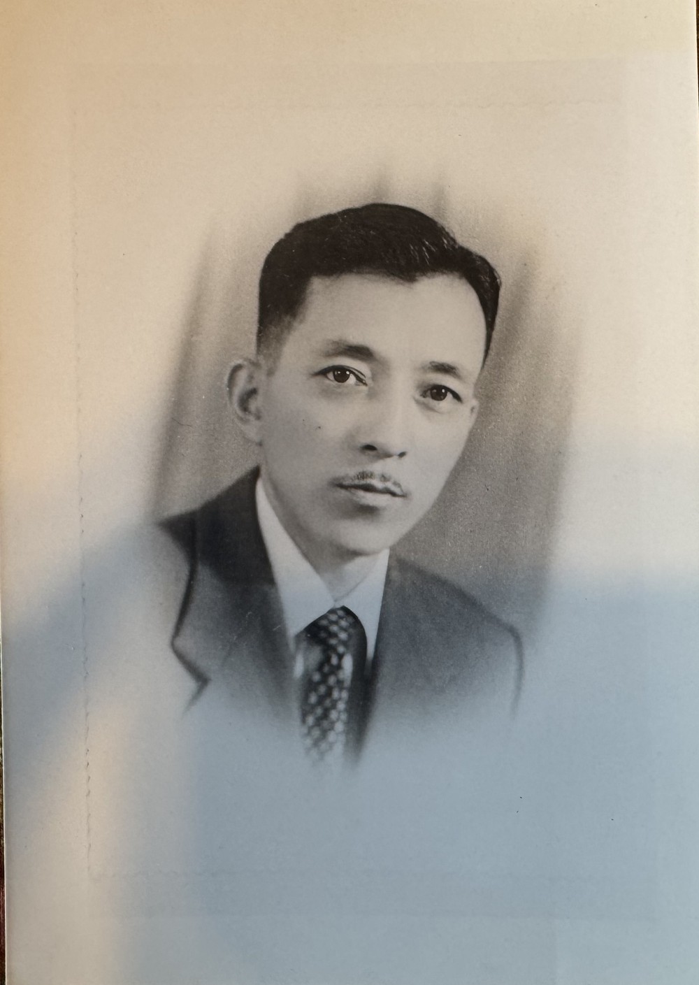 Di sản của Cha và tình yêu quê hương Việt Nam - Ảnh 12.