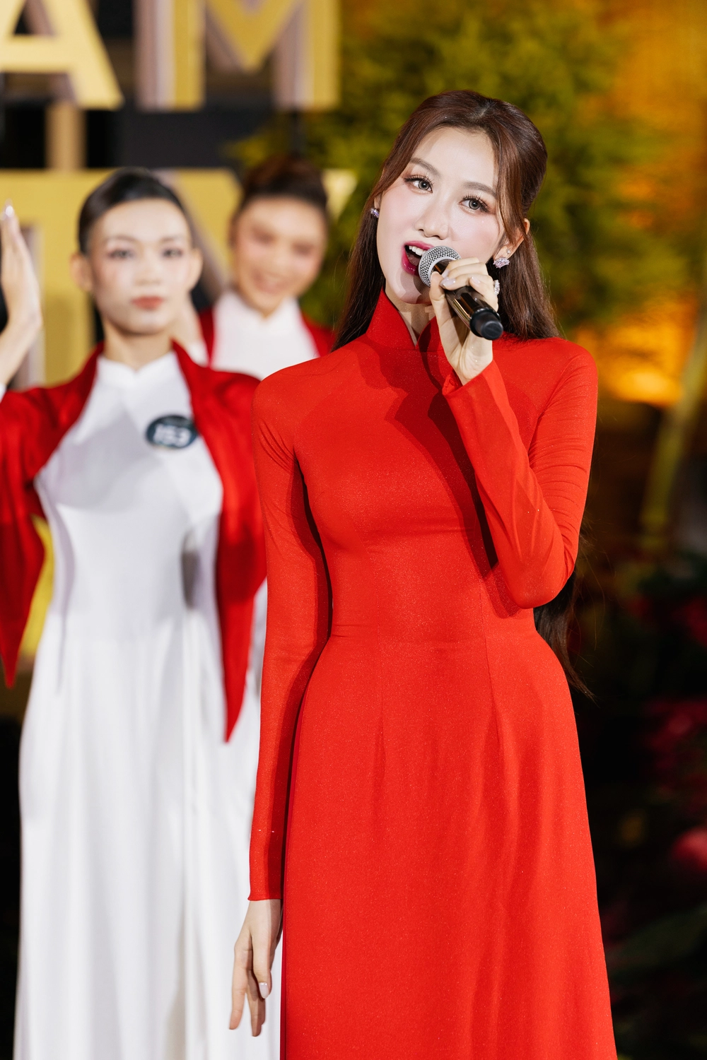 Dàn Hoa hậu mặc áo dài, lan tỏa tự hào ở Vietnam Beauty Fashion Fest - Ảnh 3.