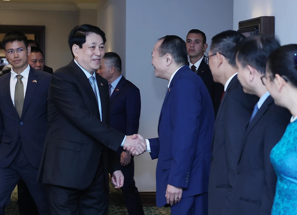 Chủ tịch nước làm việc với các Đại sứ Việt Nam tại châu Phi - Ảnh 2.