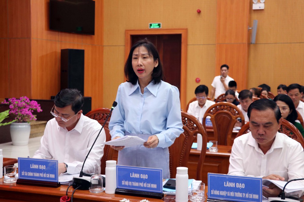 Quy hoạch không gian phát triển Thành phố Hồ Chí Minh: Phát huy lợi thế 3 vùng - Ảnh 2.