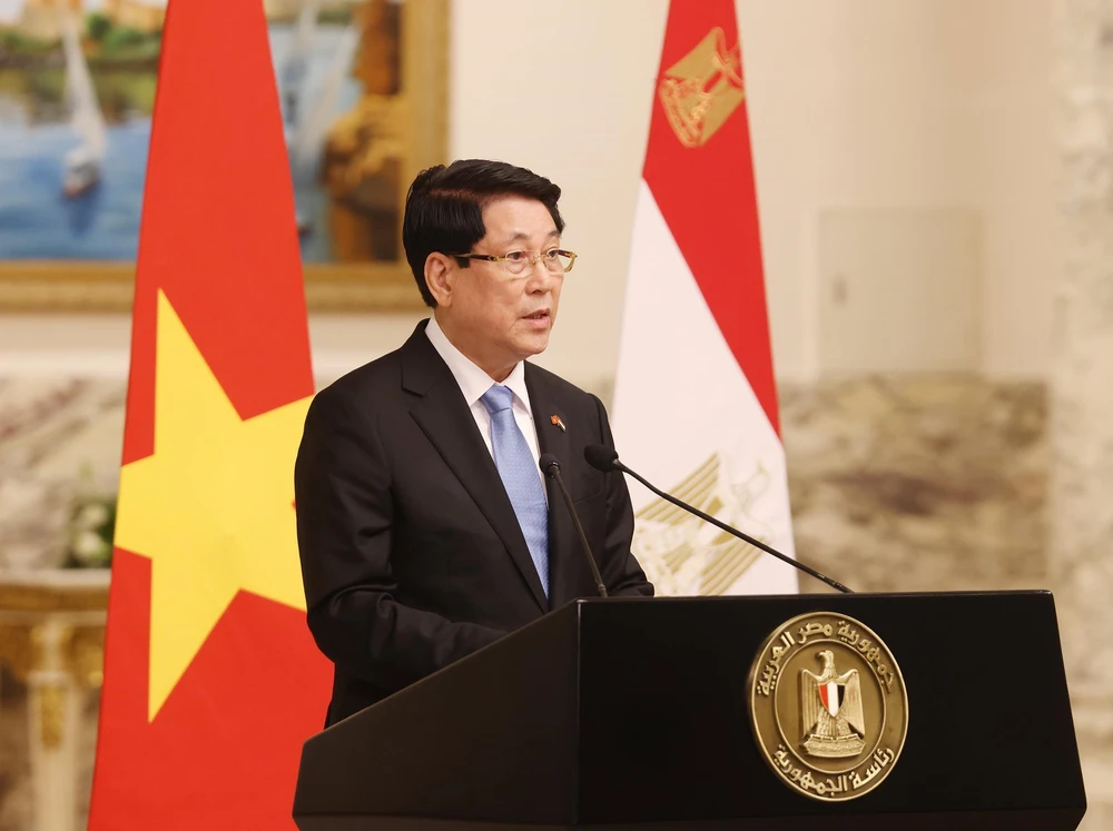 Tuyên bố chung về việc nâng cấp quan hệ lên Đối tác Toàn diện giữa nước CHXHCN Việt Nam và Cộng hoà Arập Ai Cập - Ảnh 4.