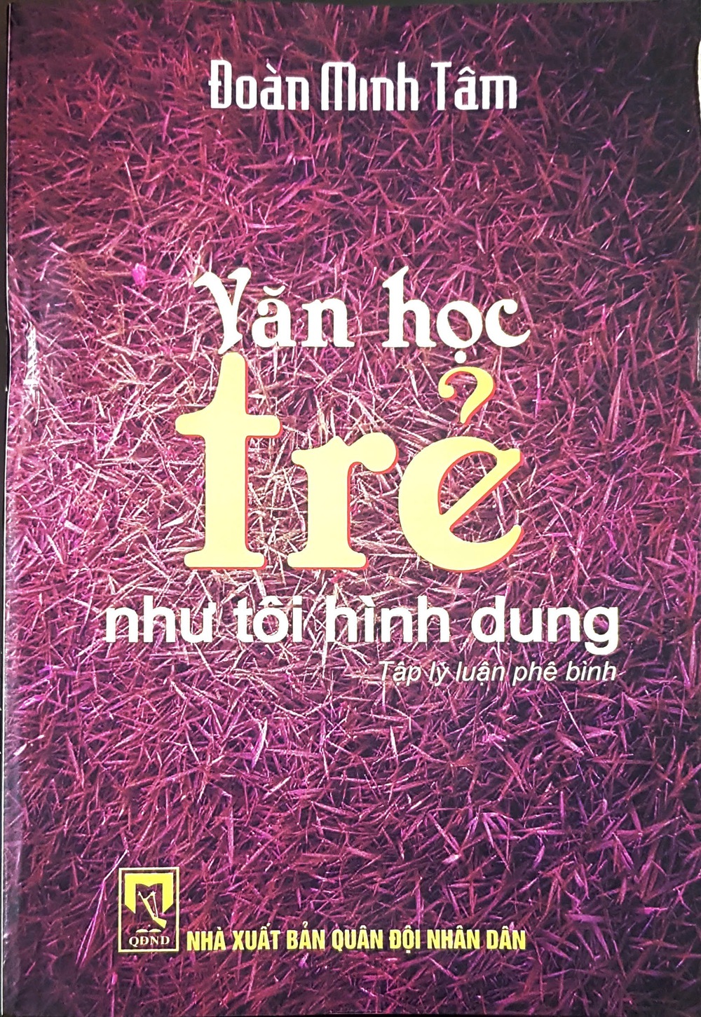 Nhà phê bình Đoàn Minh Tâm: Có bà nội và một bếp lửa của tuổi thơ - Ảnh 6.