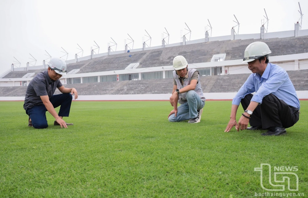 Chuẩn bị khánh thành SVĐ lớn nhất miền núi phía Bắc, rộng như sân Hàng Đẫy và được trồng loại cỏ đặc biệt - Ảnh 9.