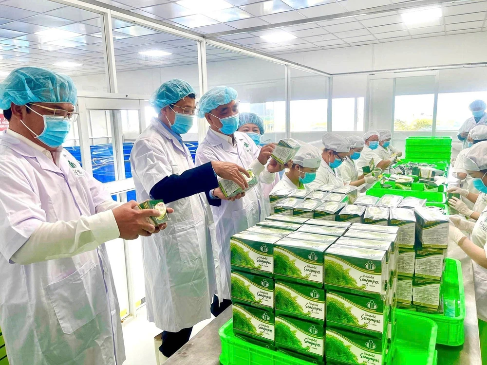 Công bố “Mô hình Toàn cảnh Kinh tế tư nhân Việt Nam” - Ảnh 4.