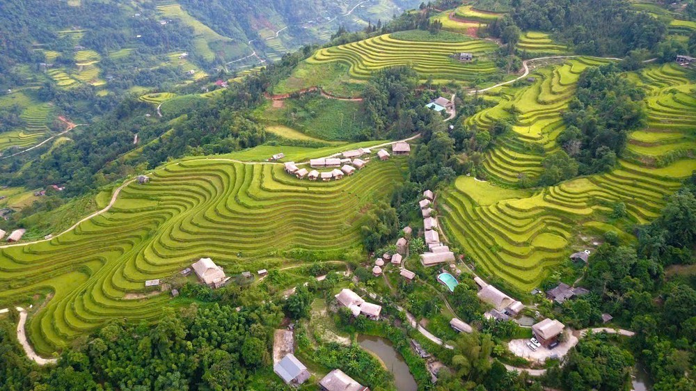 Mùa vàng Thông Nguyên - Bản giao hòa giữa sắc màu văn hóa và thiên nhiên - Ảnh 2.