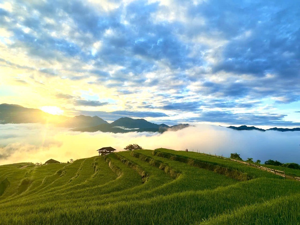 Mùa vàng Thông Nguyên - Bản giao hòa giữa sắc màu văn hóa và thiên nhiên - Ảnh 1.