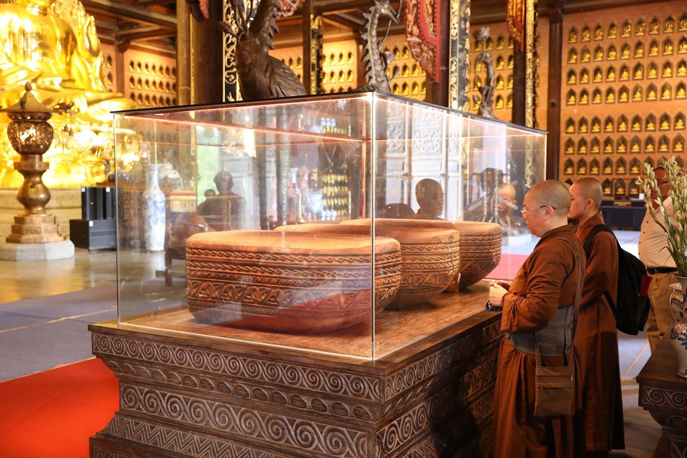 Ninh Bình phát huy giá trị chứng tích sinh học cách đây gần 13.000 năm - Ảnh 3.