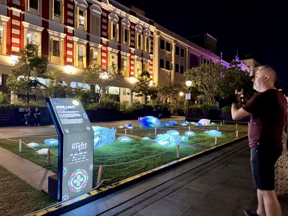 Lễ hội Đêm Singapore 2025: Sống chậm qua ánh sáng - Ảnh 6.