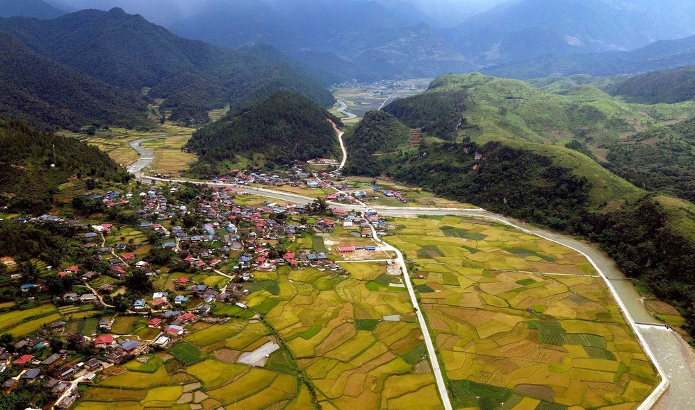 Mùa vàng ở Ngọc Chiến, Sơn La - Ảnh 6. Mùa vàng ở Ngọc Chiến, Sơn La - Ảnh 6.