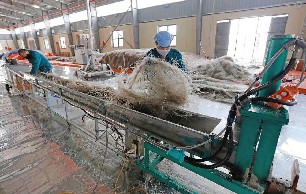 Phát triển kinh tế tư nhân: Động lực quyết định tăng trưởng hai con số - Ảnh 5.