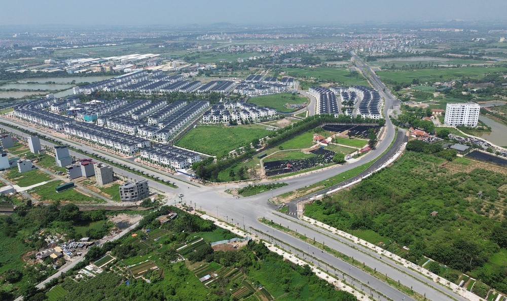 Hà Nội di chuyển, chặt hạ cây xanh phục vụ dự án giao thông trọng điểm - Ảnh 2.