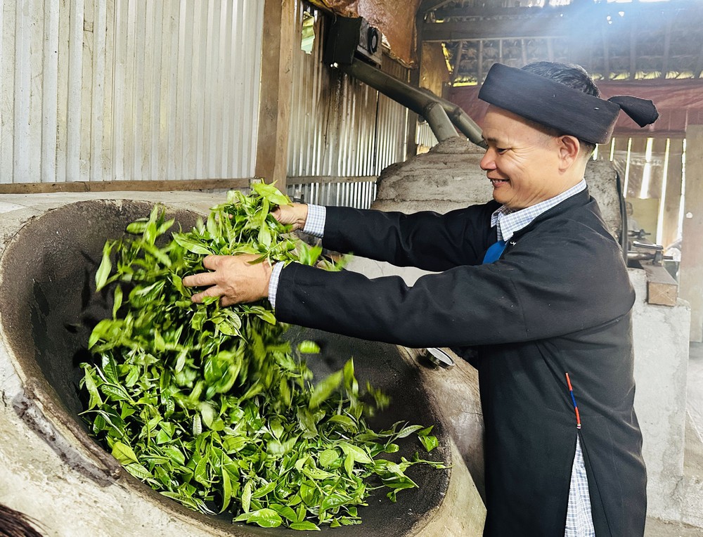 Giúp hương chè Shan Tuyết bay xa - Ảnh 4. Giúp hương chè Shan Tuyết bay xa - Ảnh 4.