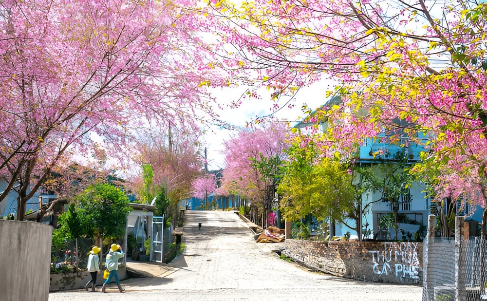 Du lịch Đà Lạt vào mùa nào lý tưởng nhất cho những tâm hồn yêu cái đẹp và sự lãng mạn - Ảnh 1.