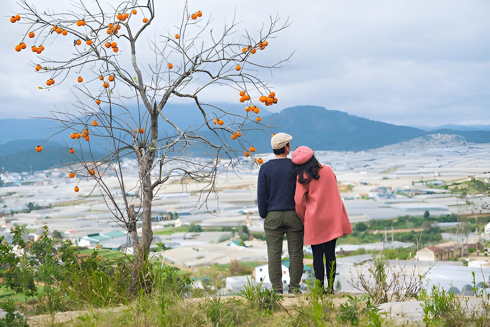 Du lịch Đà Lạt vào mùa nào lý tưởng nhất cho những tâm hồn yêu cái đẹp và sự lãng mạn - Ảnh 3.
