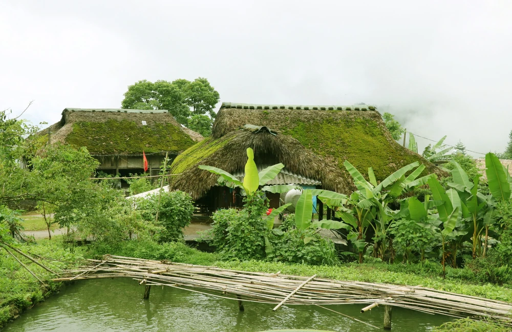 Giữ hồn mái nhà rêu dưới chân Tây Côn Lĩnh (Tuyên Quang) - Ảnh 1.
