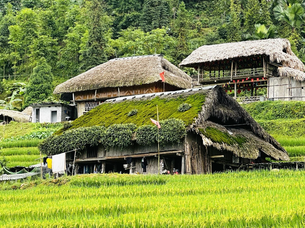 Giữ hồn mái nhà rêu dưới chân Tây Côn Lĩnh (Tuyên Quang) - Ảnh 2.