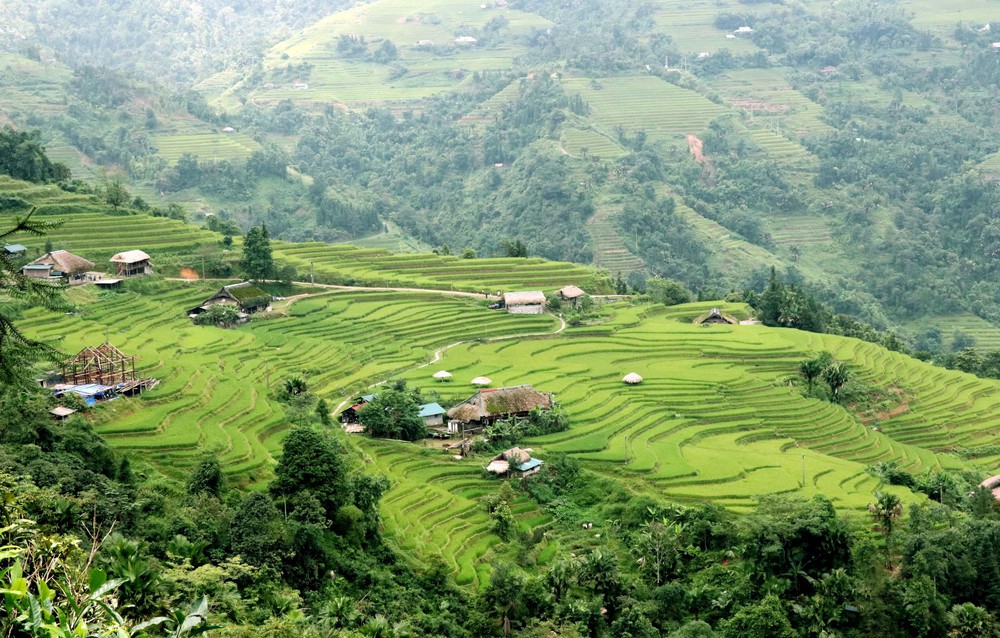 Giữ hồn mái nhà rêu dưới chân Tây Côn Lĩnh (Tuyên Quang) - Ảnh 3.