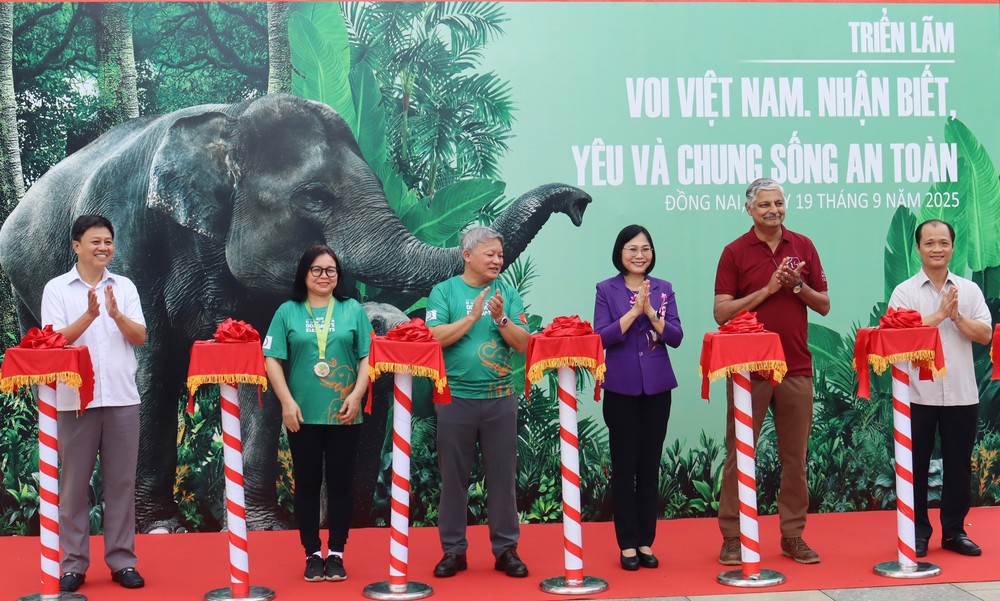 Khai mạc Tuần lễ Bảo tồn voi năm 2025 - Ảnh 1.