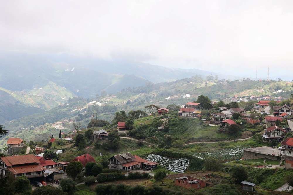 Colonia Tovar - “Hơi thở châu Âu ” giữa đại ngàn Mỹ Latinh - Ảnh 7. Colonia Tovar - “Hơi thở châu Âu ” giữa đại ngàn Mỹ Latinh - Ảnh 7.
