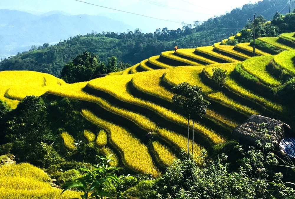 Xà Phìn - hòa mình trong sắc vàng, đắm say hồn rêu xanh - Ảnh 2. Xà Phìn - hòa mình trong sắc vàng, đắm say hồn rêu xanh - Ảnh 2.