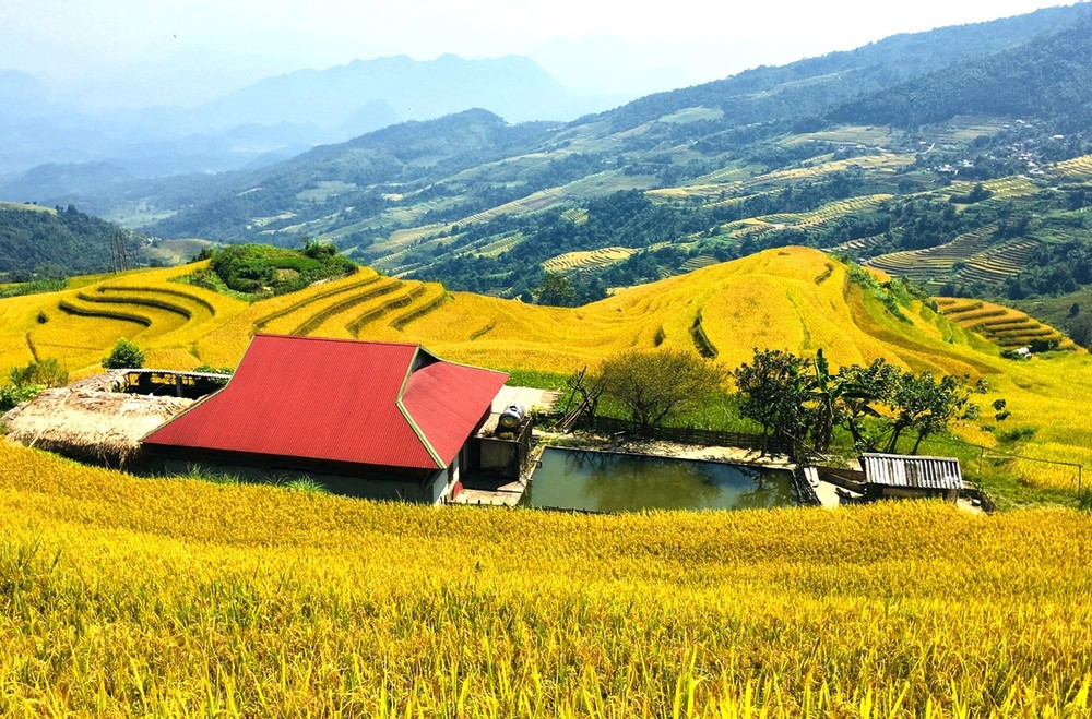 Xà Phìn - hòa mình trong sắc vàng, đắm say hồn rêu xanh - Ảnh 1. Xà Phìn - hòa mình trong sắc vàng, đắm say hồn rêu xanh - Ảnh 1.