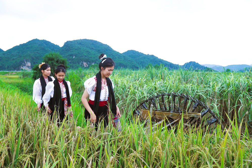 Cọn nước, nét độc đáo, đặc trưng mang văn minh lúa nước của đồng bào Thái ở miền Tây xứ Nghệ - Ảnh 4.