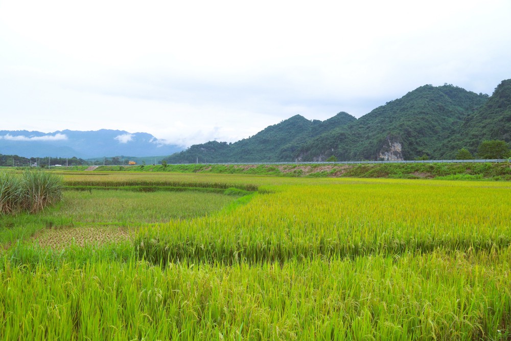 Cọn nước, nét độc đáo, đặc trưng mang văn minh lúa nước của đồng bào Thái ở miền Tây xứ Nghệ - Ảnh 1.