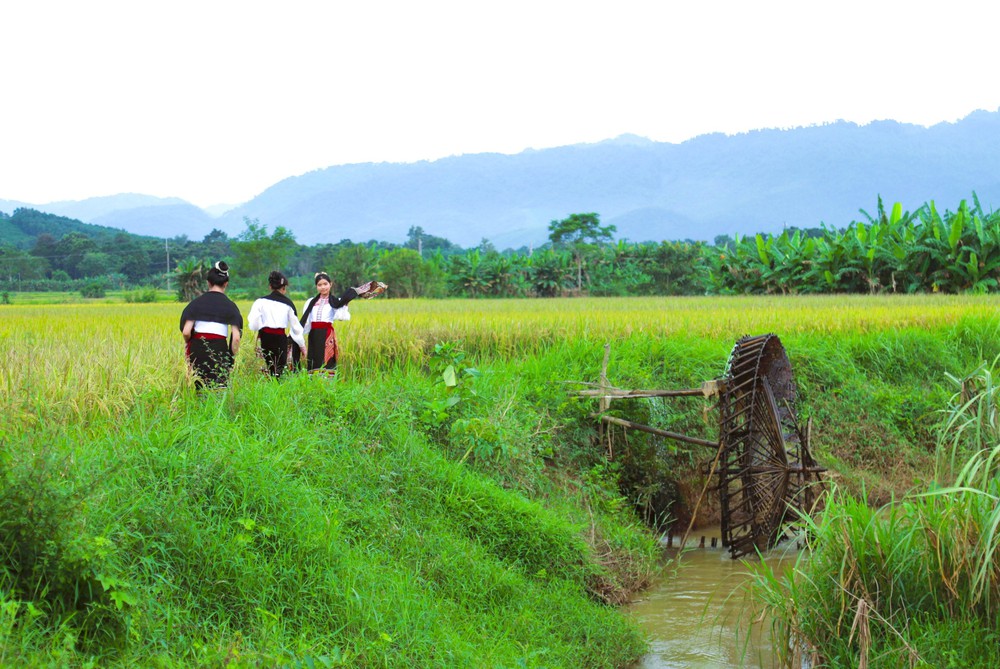 Cọn nước, nét độc đáo, đặc trưng mang văn minh lúa nước của đồng bào Thái ở miền Tây xứ Nghệ - Ảnh 3.