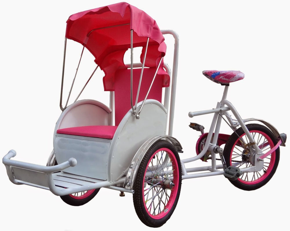 Hà Nội: Khẩn trương xác minh và xử lý vụ 2 tài xế xích lô bị tố “chặt chém” du khách - Ảnh 1.