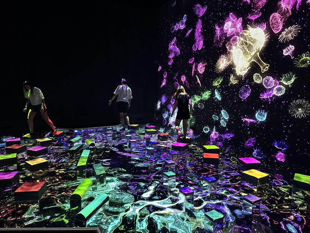Trải nghiệm thế giới kỳ ảo trong “thiên đường ánh sáng” tại teamLab Planets (chị Hằng biên tập) - Ảnh 5.