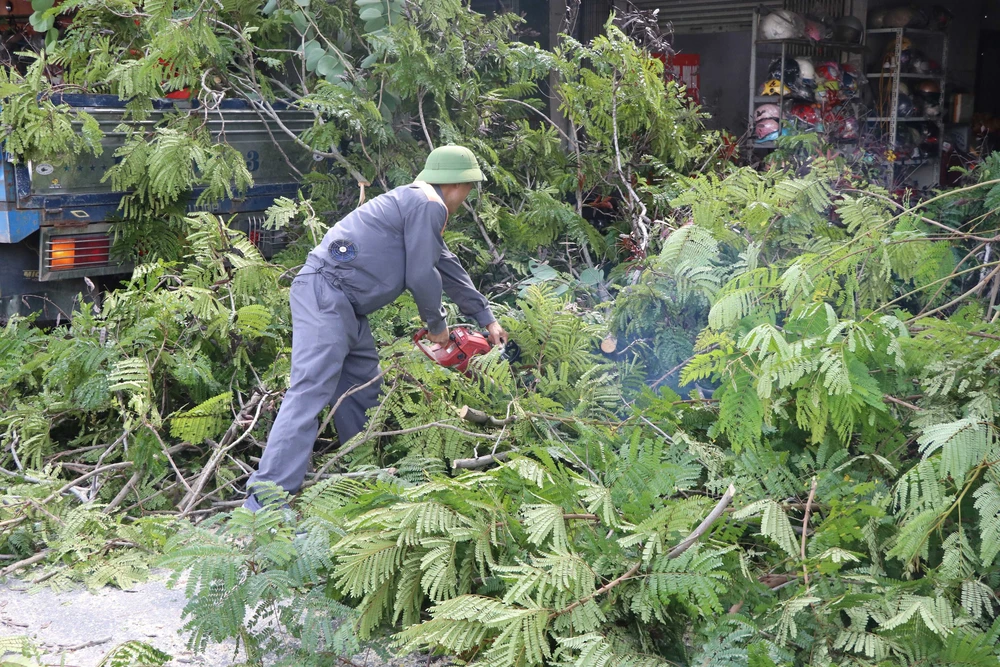 Hải Phòng họp khẩn, triển khai các biện pháp ứng phó siêu bão RAGASA - Ảnh 5.