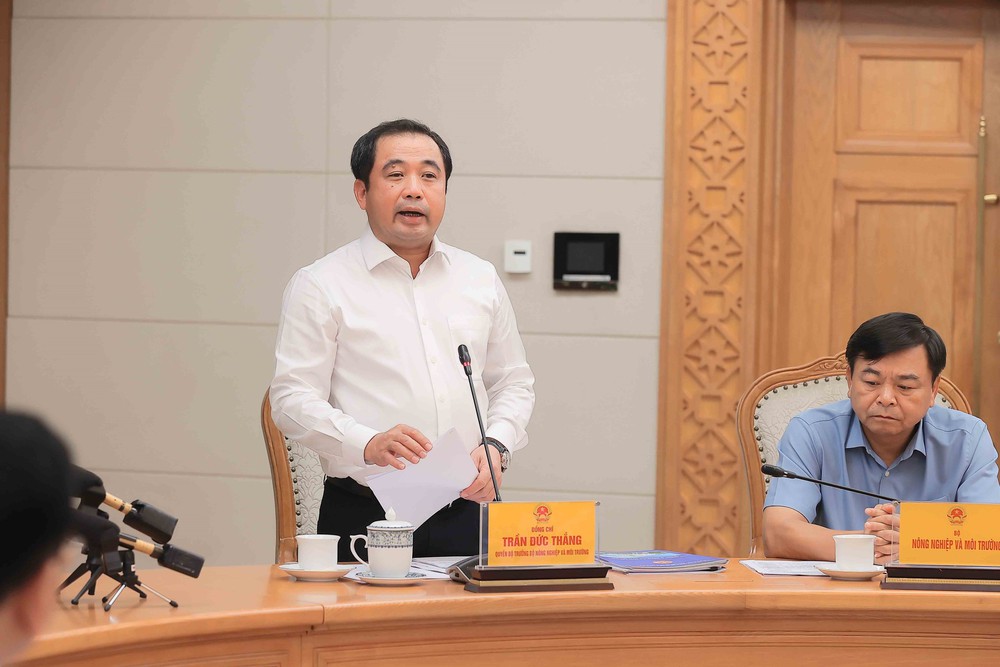 Ứng phó với siêu bão Ragasa: Phó Thủ tướng Trần Hồng Hà yêu cầu không được chủ quan - Ảnh 6.