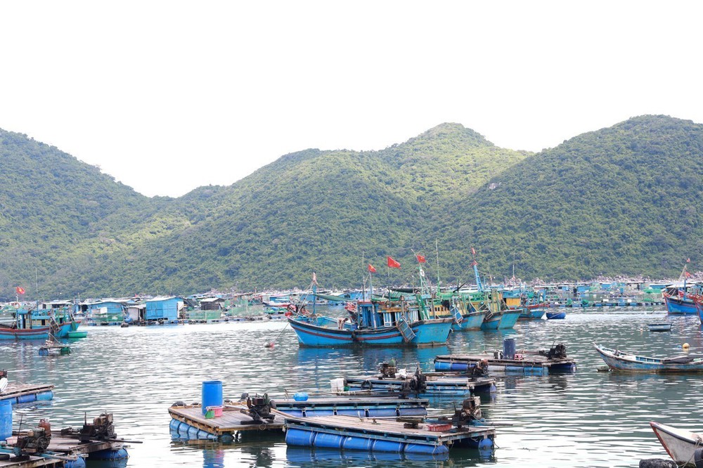 Tin nhanh về bão số 9 (lúc 10 giờ ngày 24/9) - Ảnh 1.