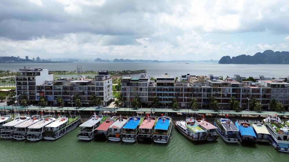 Ứng phó bão số 9: Quảng Ninh huy động hàng chục nghìn người và phương tiện chống bão - Ảnh 1.