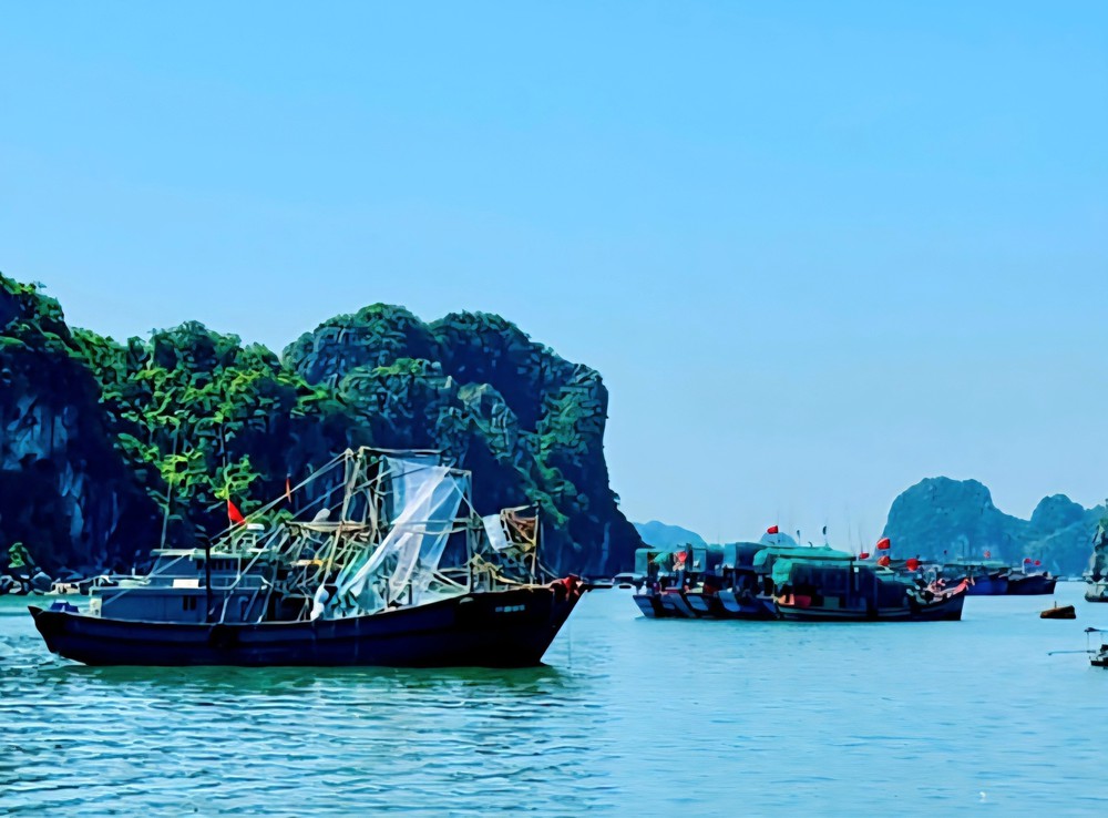 Tin nhanh về bão số 9 (lúc 10 giờ ngày 24/9) - Ảnh 2.