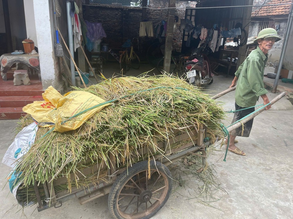 Bão số 9: Vùng &quot;rốn lũ&quot;, trũng thấp Hà Nội chủ động mọi tình huống - Ảnh 2.