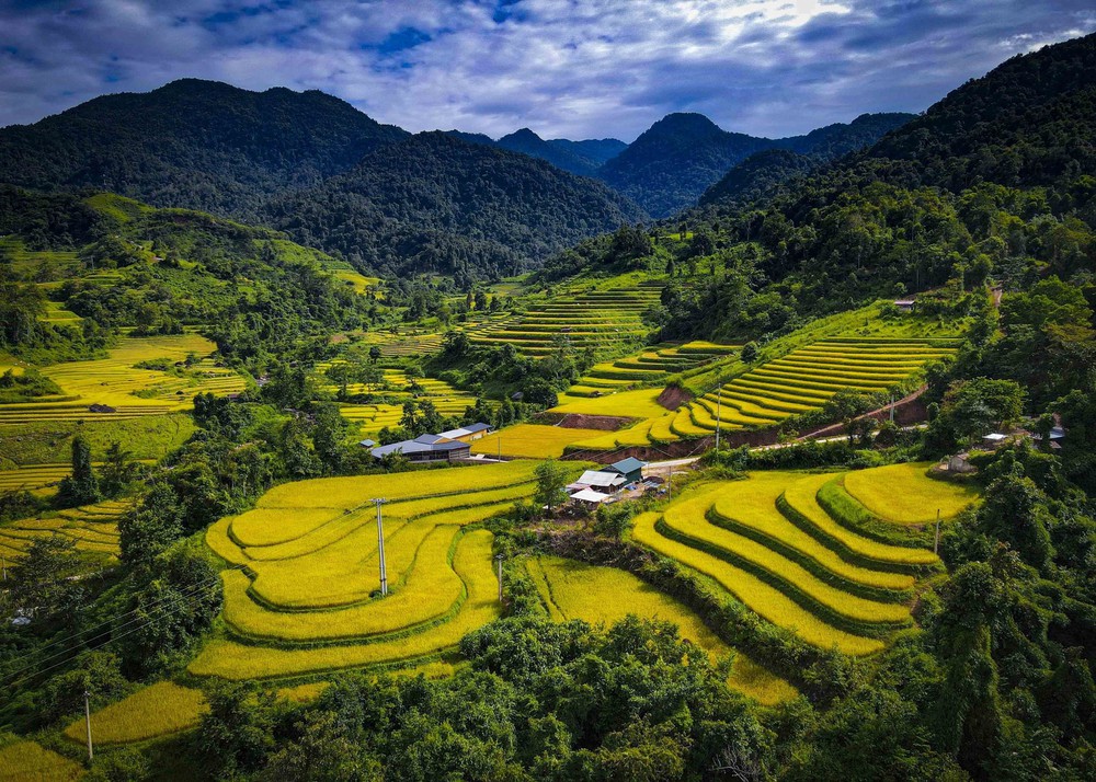 Mùa vàng óng ánh trên cánh đồng bậc thang Huổi Thanh - Ảnh 1.