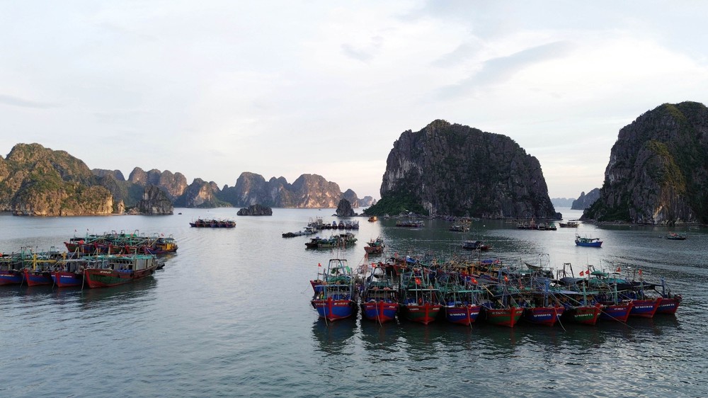 Các tỉnh, thành phố ven biển từ Quảng Ninh đến Khánh Hoà chủ động ứng phó bão số 10 - Ảnh 2.